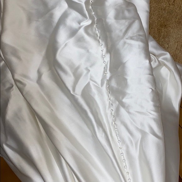 Terry Costa One of a Kind Wedding Dress - Picture 4 of 8